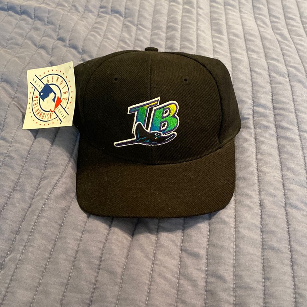 Tampa Bay Tays snap back hat